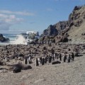 A Journey to Bouvet Island: Exploring the Wildlife and Activities