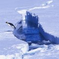 The Signing of the Antarctic Treaty: A Comprehensive Guide to Bouvet Island's History and Modern Developments