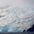 Exploring the Fascinating World of Mosses and Lichens on Bouvet Island
