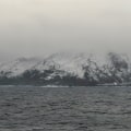 Low Temperatures and High Winds: Exploring the Climate of Bouvet Island