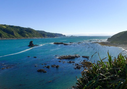Exploring the Hidden Gem of the Southern Ocean: Cape Valdivia