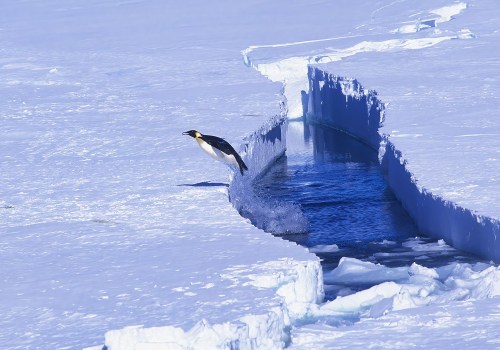 The Signing of the Antarctic Treaty: A Comprehensive Guide to Bouvet Island's History and Modern Developments
