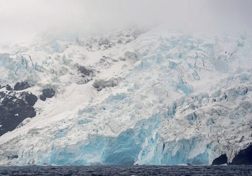 Exploring the Fascinating World of Mosses and Lichens on Bouvet Island